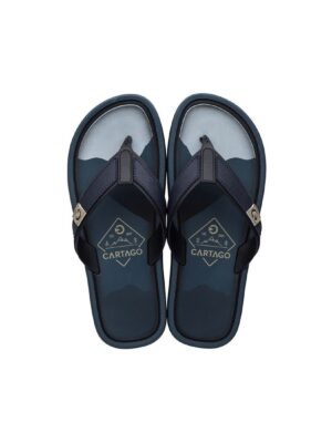 Chinelo Masculino Grendene Cartago Maiorca II NF 11022