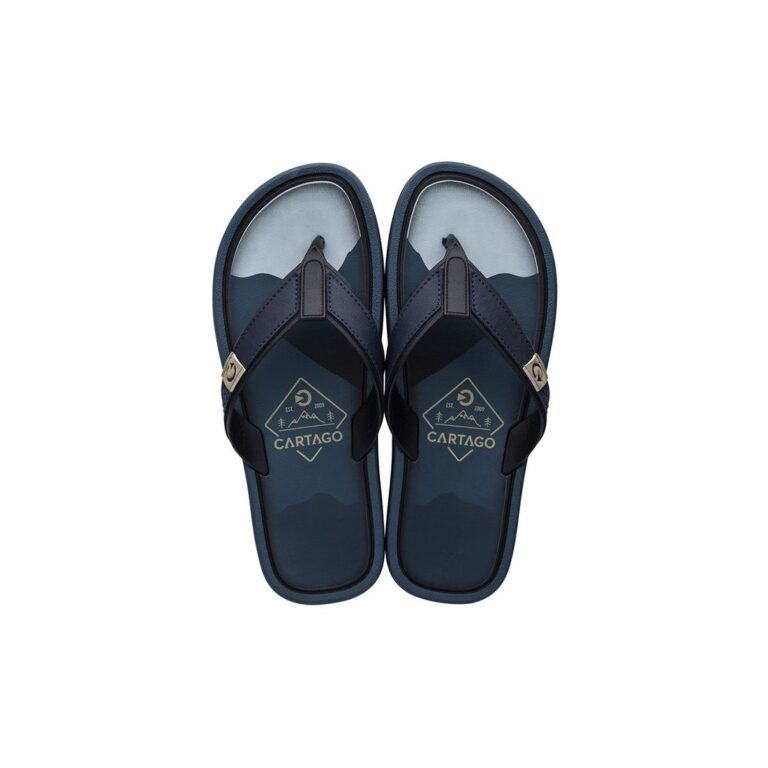 Chinelo Masculino Grendene Cartago Maiorca II NF 11022